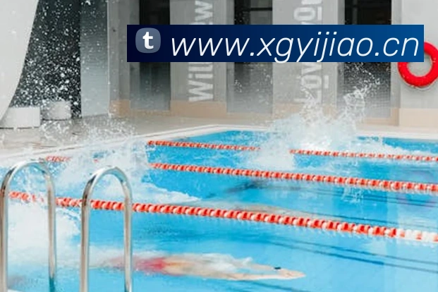 云开体育app官网入口登录网页版平台生态图