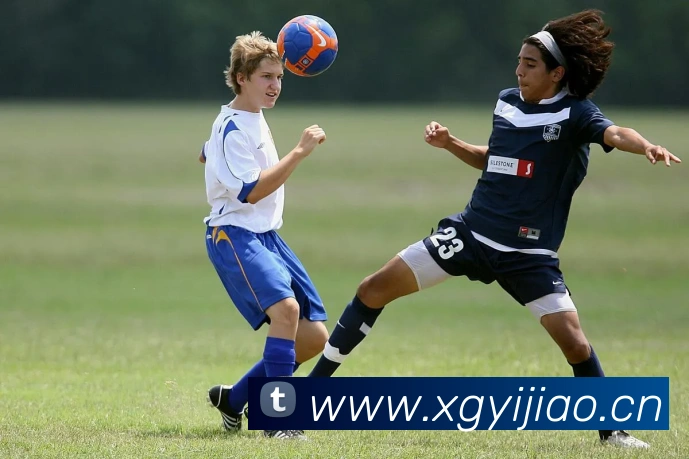 云开体育app官网入口登录网页版APP 封面图